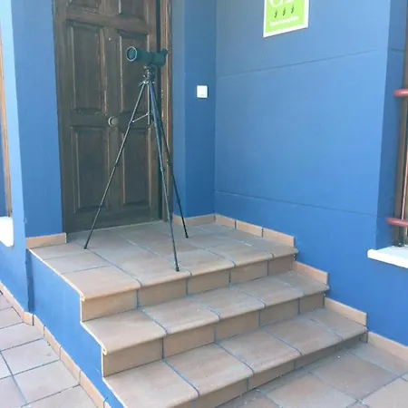 Mirador Del Río Piedra * Nuévalos