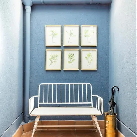 Mirador Del Río Piedra * Nuévalos